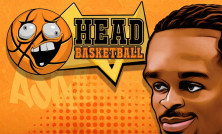 Head Basketball img