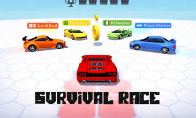Survival Race img