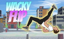 Wacky Flip img